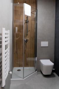 a shower stall in a bathroom with a toilet at Lynks Resort in Ustrzyki Dolne