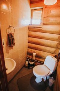 Ieriķi的住宿－Brīvdienu māja ar pirti "Strautkalni"，一间带卫生间和水槽的小浴室