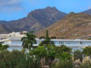 ein Gebäude mit Palmen und Bergen im Hintergrund in der Unterkunft Apartment Las Terrazas Costa Adeje Ocean View in Adeje