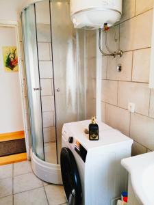 y baño con ducha y lavadora. en FoREST Heritage Apartment, en Hreljin