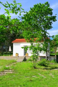 una pequeña casa blanca con un árbol en el patio en Casinha Rubiães en Paredes de Coura
