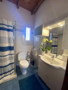 een badkamer met een toilet, een wastafel en een douche bij Jenny's Guesthouse! in Artemida