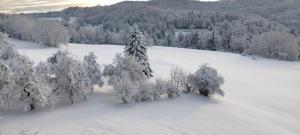 un grupo de árboles con nieve. en Sixième Sens - 1828, 