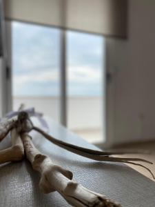 a skeleton sitting on top of a table with a fork at Dora's apartment in Dhërmi