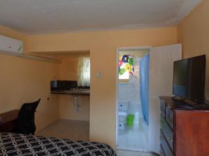 sypialnia z łóżkiem i telewizorem oraz łazienka w obiekcie Tropical Manor Inn - Kingston w mieście Kingston