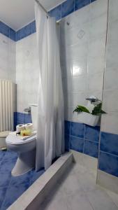 ein blau-weißes Bad mit einem WC und einer Dusche in der Unterkunft Olyna’s Apartment N.S Preveza in Néa Sampsoús