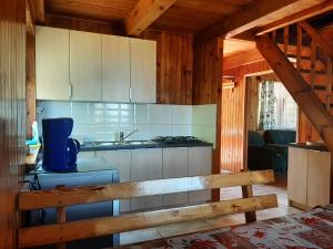 uma cozinha com um fogão e um lavatório numa cabina em Dom pod Sosnami em Narty