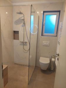 La salle de bains est pourvue d'une douche en verre et de toilettes. dans l'établissement Apartment Sofia, à Mali Lošinj