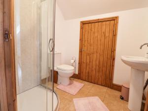 a bathroom with a toilet and a sink and a shower at Barcud Cottage in Carmarthen +35 photos