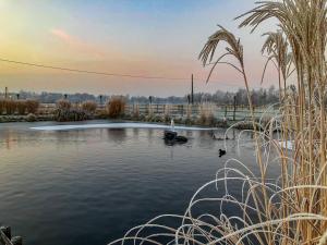 un étang avec deux canards dans l'eau au coucher du soleil dans l'établissement De Worfthoeve, à Geel