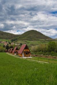 a row of houses in a field with a hill at Pyramid Energy House in Visoko