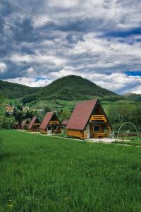 eine Gruppe von Häusern auf einem Feld mit einem grünen Hügel in der Unterkunft Pyramid Energy House in Visoko