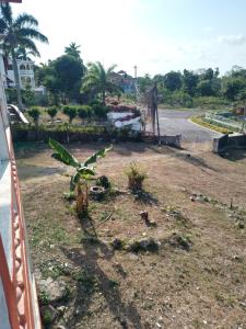 Κήπος έξω από το Mango walk homestay