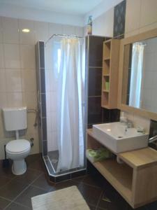 een badkamer met een douche, een wastafel en een toilet bij Apartmani Binka in Petrcane