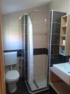 een badkamer met een douche, een toilet en een wastafel bij Apartmani Binka in Petrcane