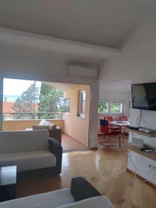 een woonkamer met een bank en een televisie bij Apartmani Binka in Petrcane