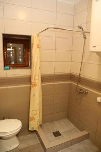 a bathroom with a shower with a toilet at LAKE HOUSE 'VILIN KONAK' in Nikšić