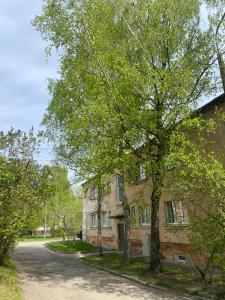 un arbre se tient devant une maison dans l'établissement Quiet and peaceful apartment close to the city center, à Riga