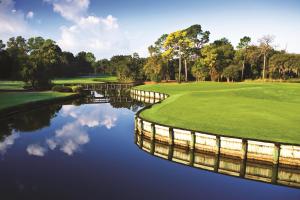 a view of the green at a golf course at Innisbrook Resort in Palm Harbor