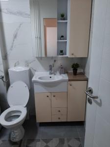 La salle de bains est pourvue de toilettes blanches et d'un lavabo. dans l'établissement Bilino polje, à Zenica