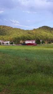een veld van groen gras met een rode schuur op de achtergrond bij Marmaristeki Eviniz 