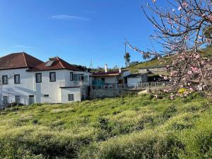 a group of houses on a hill with a tree at Casa da Celeste in Vale do Pereiro