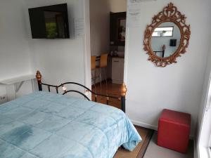a bedroom with a bed and a mirror on the wall at Corner Cottage Rear Studio - Attached - Geneva in Kyogle in Kyogle