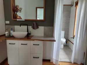 un bagno con lavandino e WC di Corner Cottage Rear Studio - Attached - Geneva in Kyogle a Kyogle Altre 5 foto