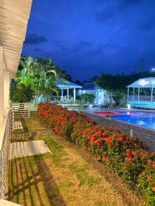 Bazen u ili blizu objekta LUTIX HOTELS