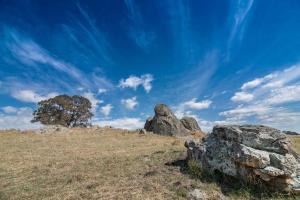 Φωτογραφία από το άλμπουμ του Griffin Getaway σε Orange