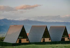 three houses on a hill with mountains in the background at TITA HOMES in Telavi