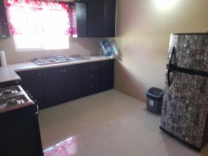 Gallery image of Loodik Vacation Home Brompton Manor in Black River +38 photos