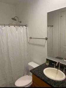 ein Badezimmer mit einem WC, einem Waschbecken und einem Spiegel in der Unterkunft Urban chic living minutes to I-45 and I-610 #B in Houston
