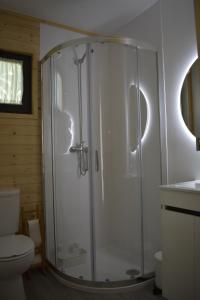 een badkamer met een douche en een toilet bij MOM - Mateus On Modular in Vila Real