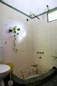 a bathroom with a shower with a plant in it at Colibrí Apart in El Soberbio