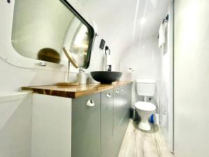 ein Badezimmer mit einem Waschbecken, einem WC und einem Spiegel in der Unterkunft Frankie the Silver Bullet Airstream in Katoomba