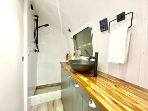 a bathroom with a sink and a mirror on a counter at Frankie the Silver Bullet Airstream in Katoomba