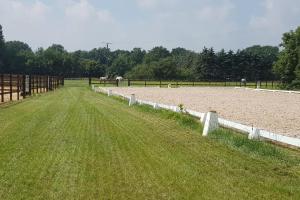 a horse pasture with a white fence and grass at Horsea in Großringe +9 photos