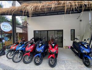 Fotografie z fotogalerie ubytování DUDU'S HOSTEL v Ko Tao