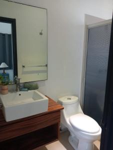 ein Badezimmer mit einem Waschbecken, einem WC und einem Spiegel in der Unterkunft Magnifico Departamento, cocina equipada, 2 Recamaras 2 Baños , hasta 6 Personas, 3 albercas, playa a 50 mts wifi, aire acondicionado in Manzanillo