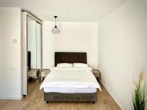 - une chambre avec un lit et un miroir dans l'établissement Vlad Rentals Properties, à Voluntari