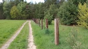 Fotografia z galérie ubytovania Kolorowe Wzgórze agroturystyka i konie v destinácii Trojanów