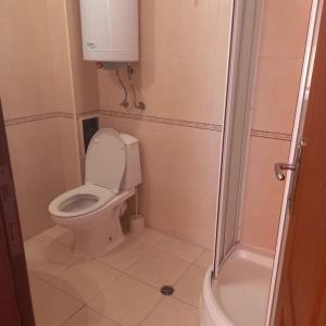 y baño pequeño con aseo y ducha. en 3 Bed, 3 Bath Villa, en Kosharitsa