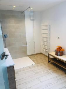 a bathroom with a shower with a glass door at Wanderlust - Thüringer Wald, Rennsteig, Finsterbergen in Friedrichroda