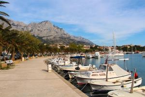 Afbeelding uit fotogalerij van Mobile Homes Holiday Dream in Baška Voda