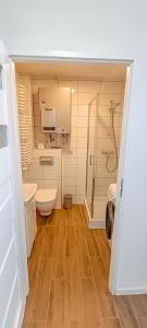 a bathroom with a toilet sink and a shower at Apartment 2 in Altstadt Angermünde in Angermünde