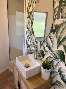 a bathroom with a sink and a mirror at La Louée du canal in Braux +33 photos