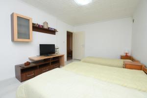 um quarto com 2 camas e uma televisão numa secretária em Apartman Aleksandar em Kladovo
