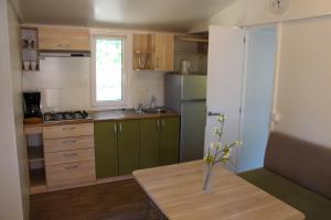 a kitchen with green cabinets and a table with a vase on it at Mobile Homes Holiday Dream in Baška Voda