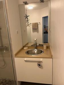 a bathroom with a sink and a mirror at Oasis Pied Dans L'Ô, La Saline Les Bains. in La Saline les Bains